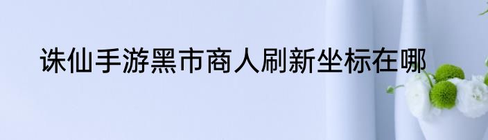 诛仙手游黑市商人刷新坐标在哪