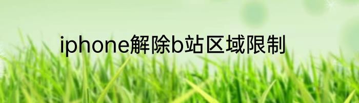 iphone解除b站区域限制
