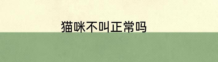 猫咪不叫正常吗