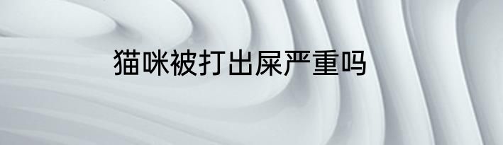 猫咪被打出屎严重吗