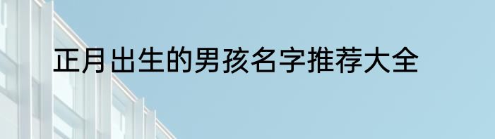 正月出生的男孩名字推荐大全