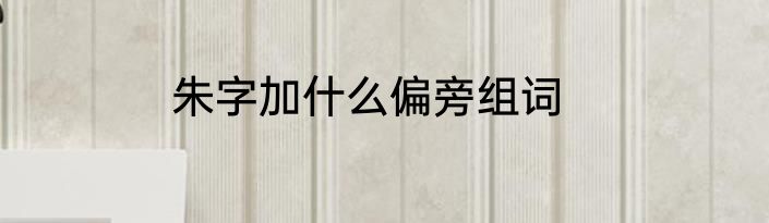 朱字加什么偏旁组词