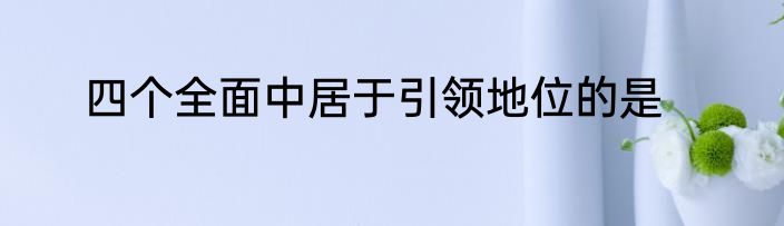 四个全面中居于引领地位的是