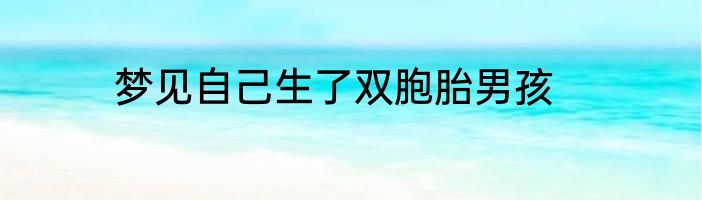 梦见自己生了双胞胎男孩
