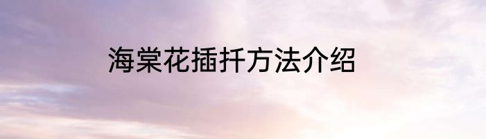 海棠花插扦方法介绍