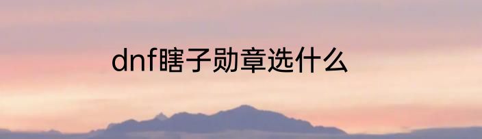 dnf瞎子勋章选什么