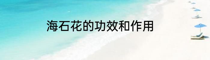 海石花的功效和作用