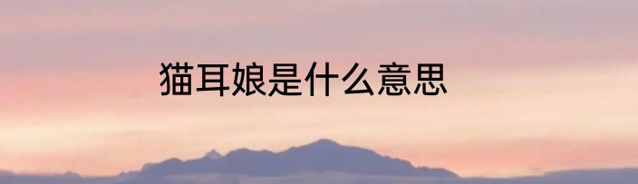 猫耳娘是什么意思