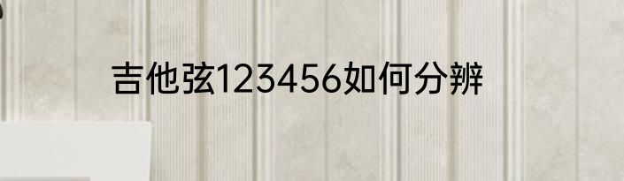 吉他弦123456如何分辨