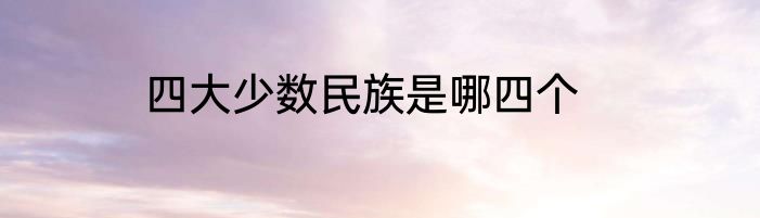四大少数民族是哪四个