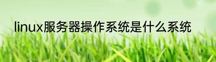 linux服务器操作系统是什么系统