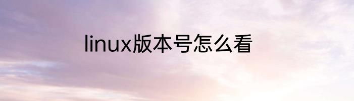 linux版本号怎么看