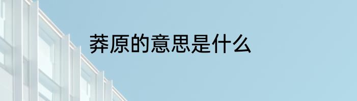 莽原的意思是什么