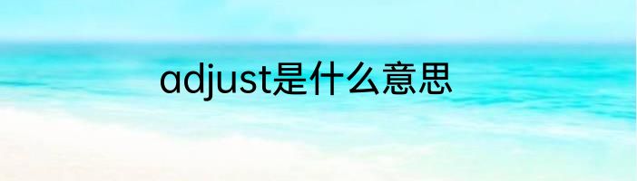 adjust是什么意思