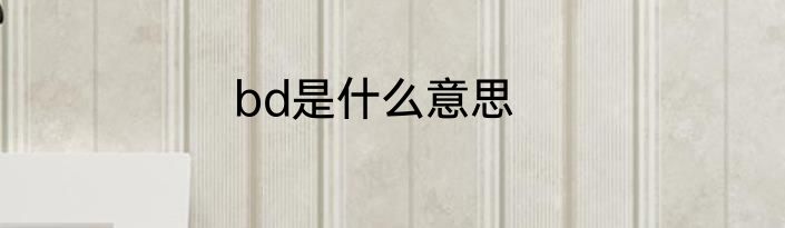 bd是什么意思