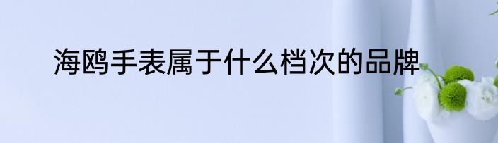 海鸥手表属于什么档次的品牌