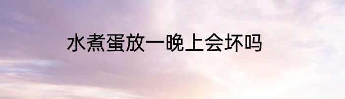 水煮蛋放一晚上会坏吗