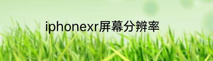 iphonexr屏幕分辨率