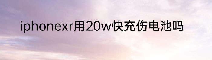 海宁皮衣是否是真皮