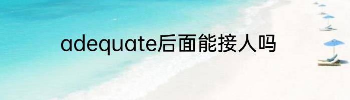 adequate后面能接人吗