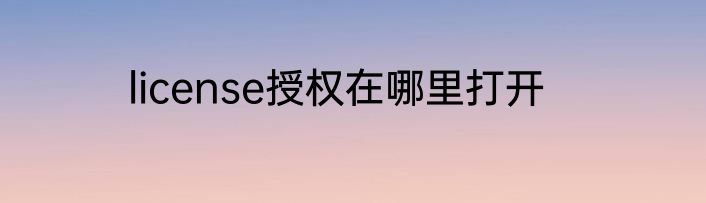 license授权在哪里打开