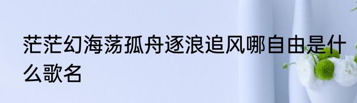茫茫幻海荡孤舟逐浪追风哪自由是什么歌名