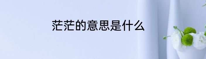 茫茫的意思是什么