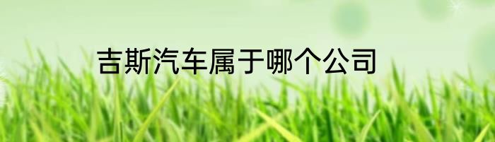 吉斯汽车属于哪个公司