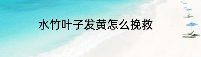 水竹叶子发黄怎么挽救