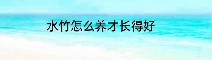水竹怎么养才长得好
