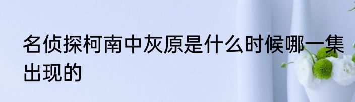 名侦探柯南中灰原是什么时候哪一集出现的