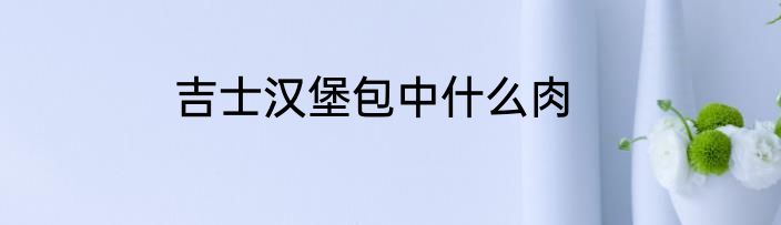 吉士汉堡包中什么肉