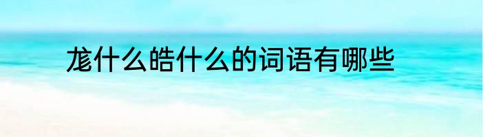 尨什么皓什么的词语有哪些