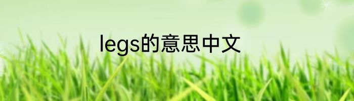 legs的意思中文