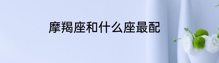摩羯座和什么座最配