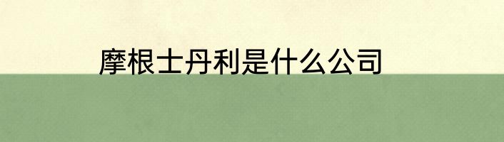摩根士丹利是什么公司