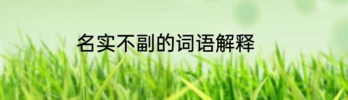 名实不副的词语解释