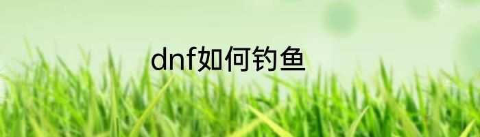 dnf如何钓鱼