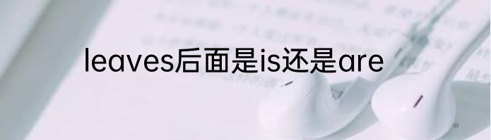 leaves后面是is还是are