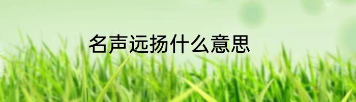 名声远扬什么意思