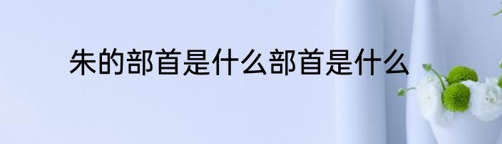 朱的部首是什么部首是什么