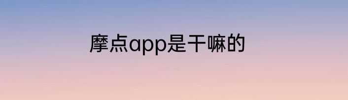 摩点app是干嘛的