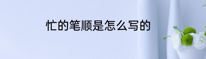 忙的笔顺是怎么写的