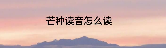 芒种读音怎么读