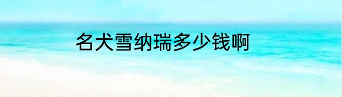名犬雪纳瑞多少钱啊