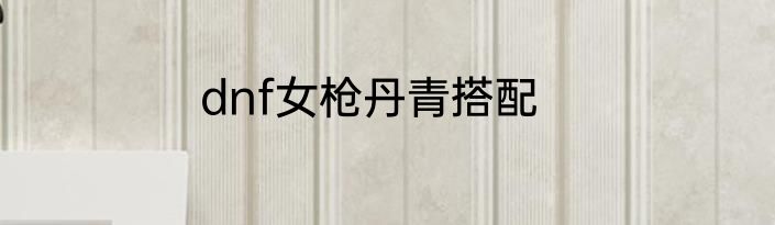 dnf女枪丹青搭配