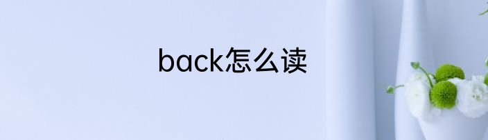 back怎么读