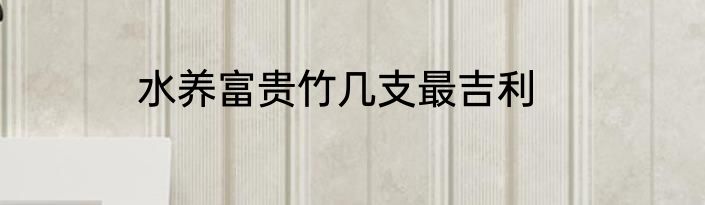 水养富贵竹几支最吉利