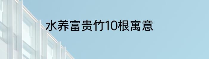 水养富贵竹10根寓意