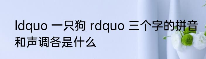ldquo 一只狗 rdquo 三个字的拼音和声调各是什么